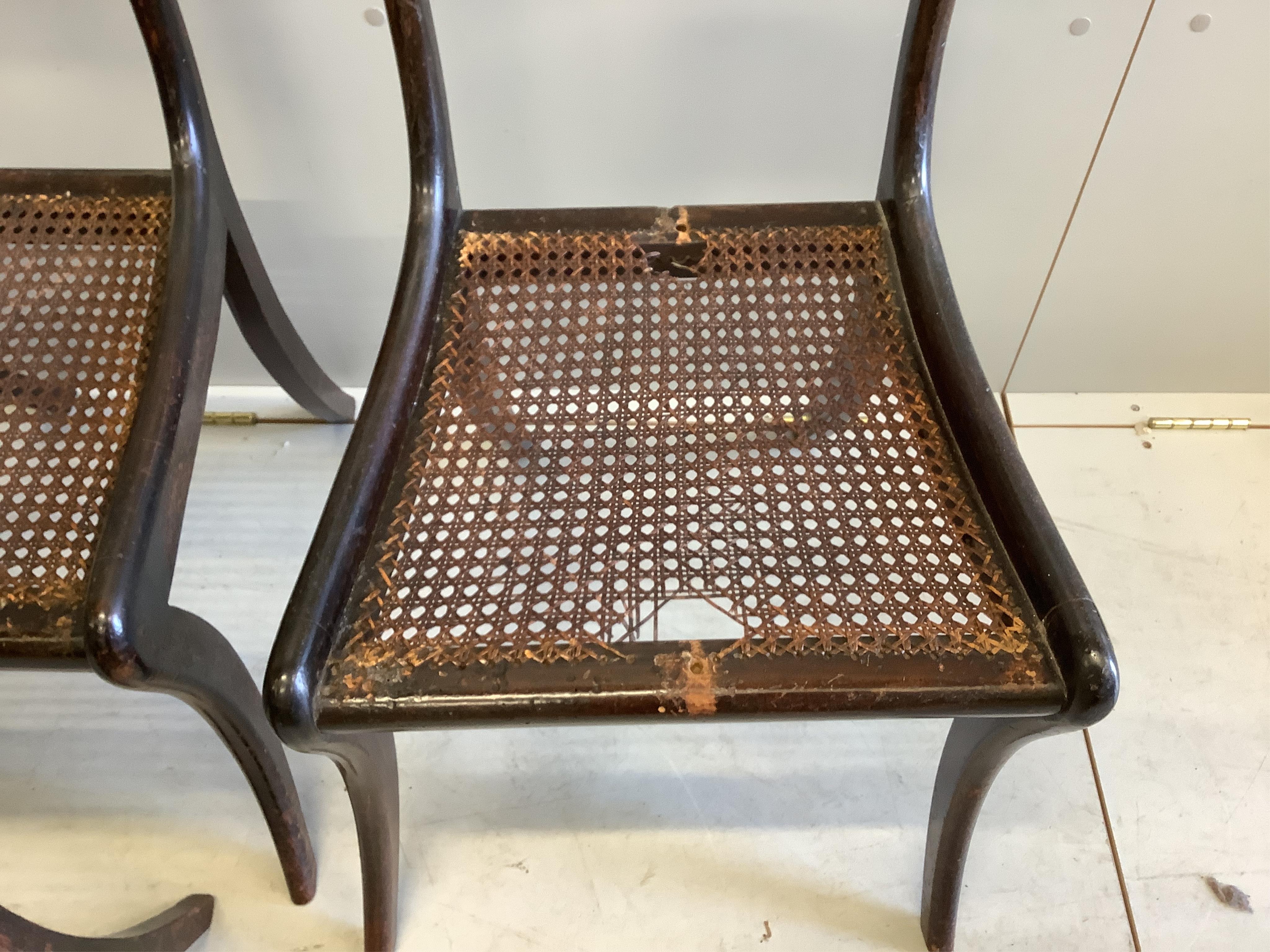 A set of six Regency rosewood and simulated rosewood dining chairs, the top rails inlaid with cut brass decoration, caned seats with slip-in cushions, on sabre legs. Condition - poor
